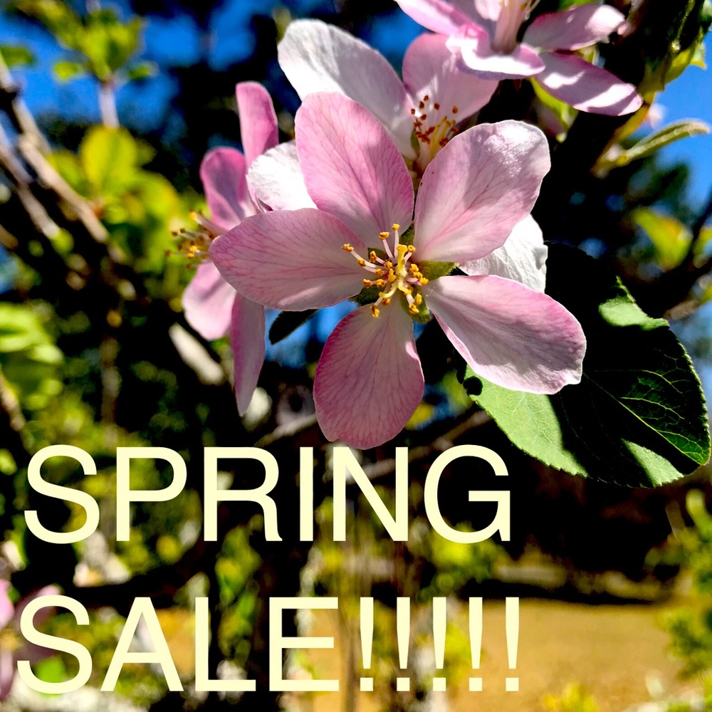 ENTIRE CLOSET ON SALE!!!!!
